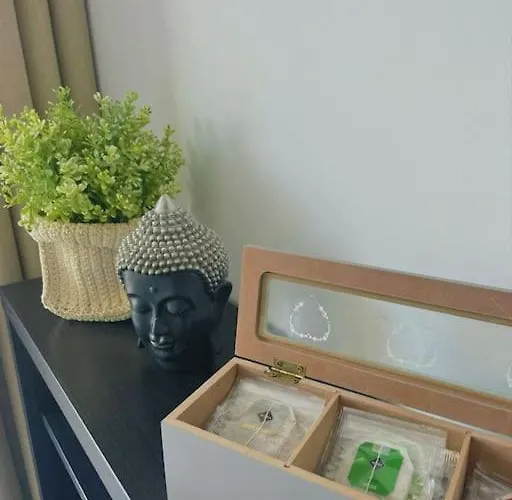 Alexander Playa De Americas